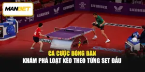 Cá Cược Bóng Bàn - Khám Phá Loạt Kèo Theo Từng Set Đấu 