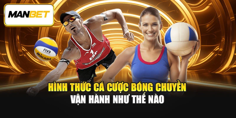 Hình thức cá cược bóng chuyền vận hành như thế nào 