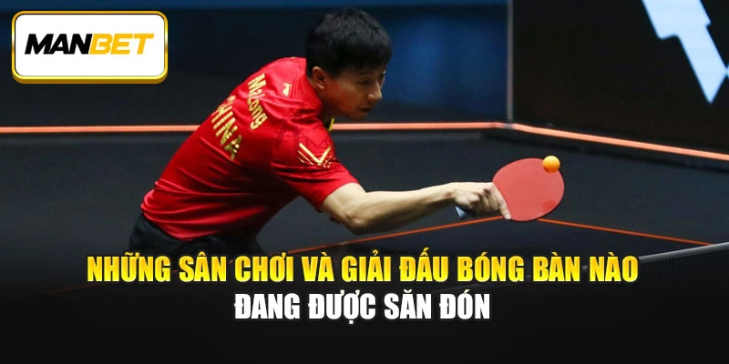 Những sân chơi và giải đấu bóng bàn nào đang được săn đón 