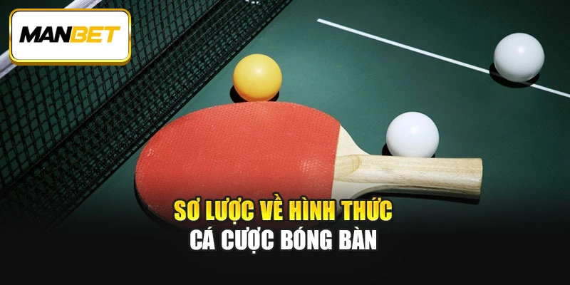 Sơ lược về hình thức cá cược bóng bàn 