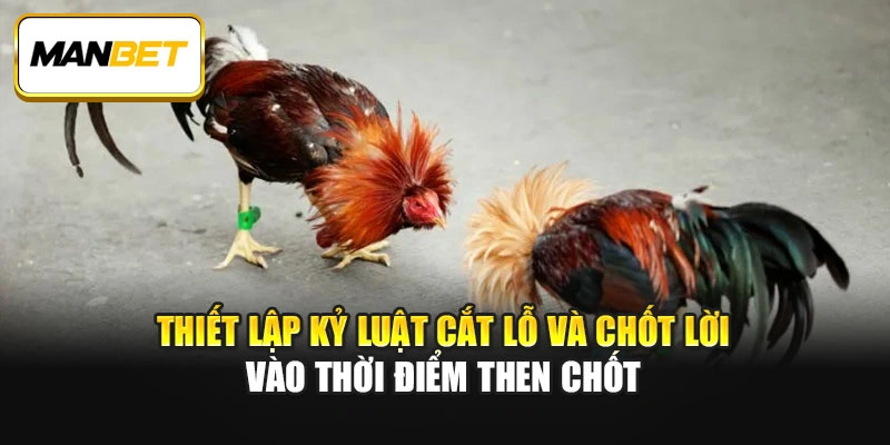 Thiết lập kỷ luật cắt lỗ và chốt lời vào thời điểm then chốt